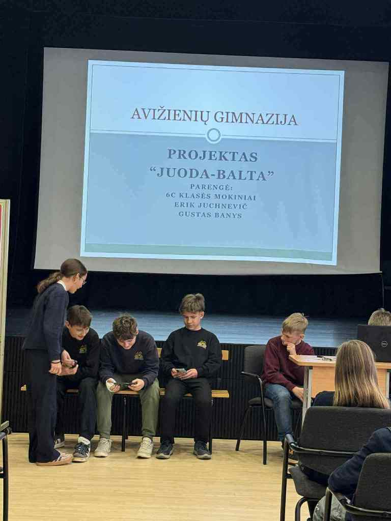 Dalyvaujamojo_biudzeto_projektas_2025_10_3