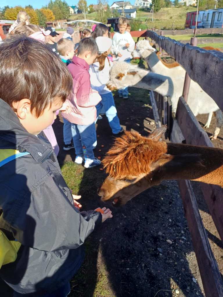 Wycieczka_na_Ranczo_Panczo_2025_10_16