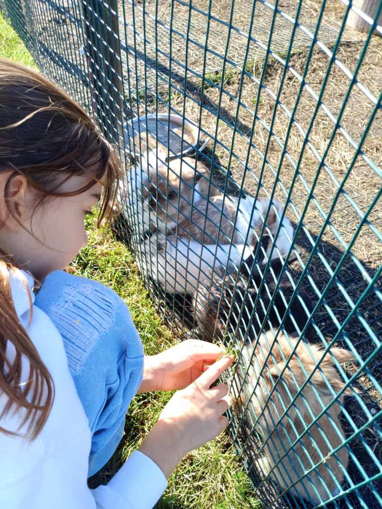 Wycieczka_na_Ranczo_Panczo_2025_10_19