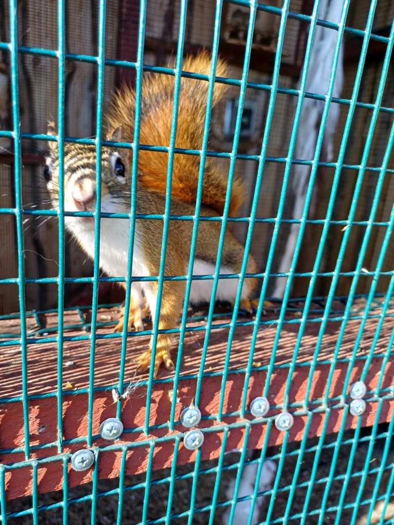 Wycieczka_na_Ranczo_Panczo_2025_10_20