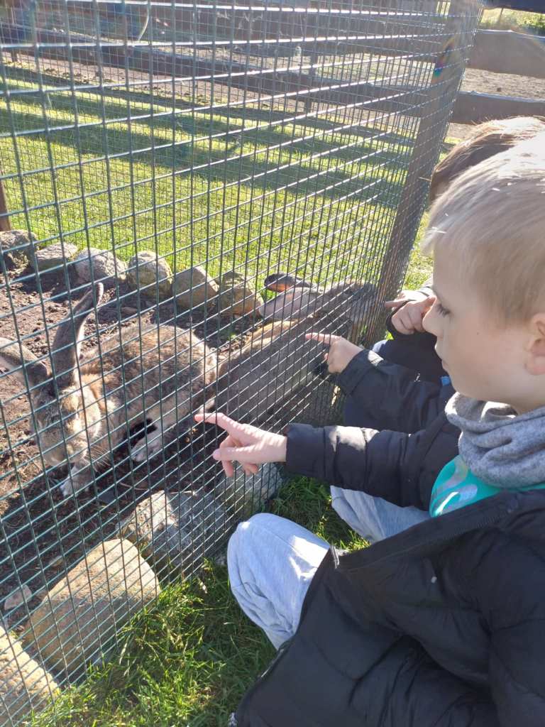 Wycieczka_na_Ranczo_Panczo_2025_10_24