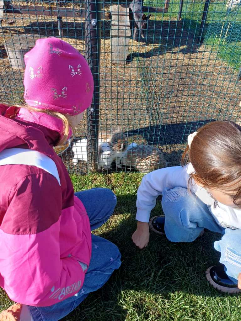 Wycieczka_na_Ranczo_Panczo_2025_10_29