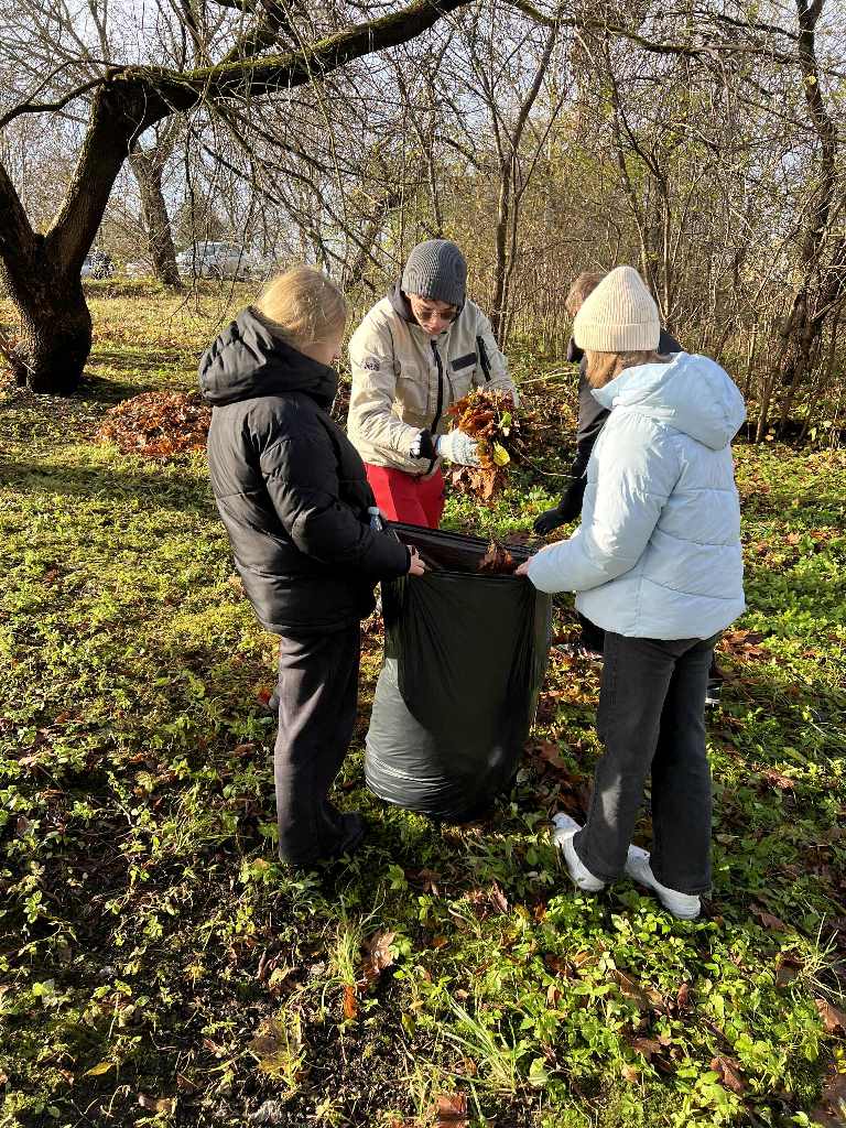Mokiniai_tvarke_Kalvariju_kapines_2025_11_4