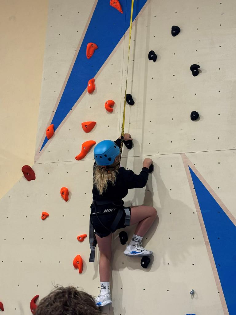 Nauja_laipiojimo_sienele_2025_11_5