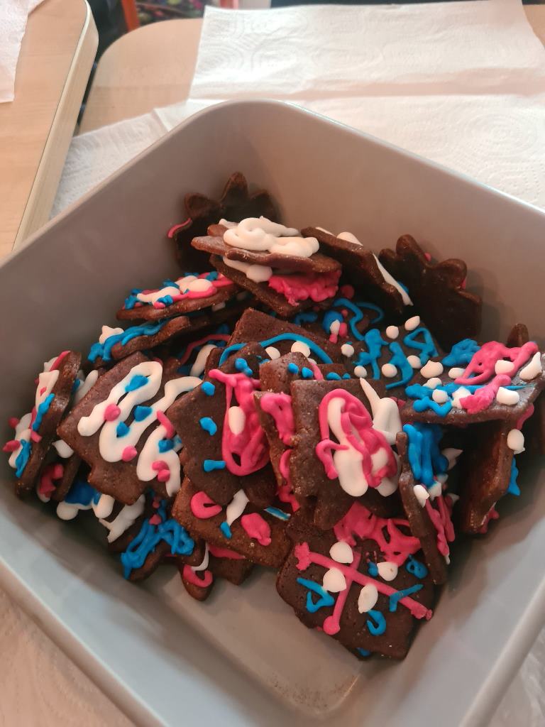 Siaures_saliu_literaturos_savaite_2025_11_13