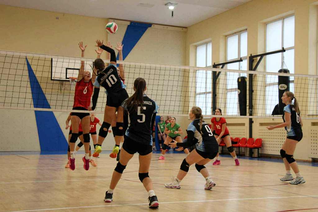 Vyko_tradicinis_tinklinio_turnyras_2025_11_9