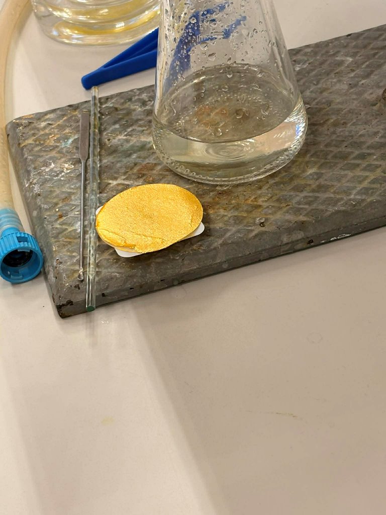 Auksinis_lietus_2025_12_8