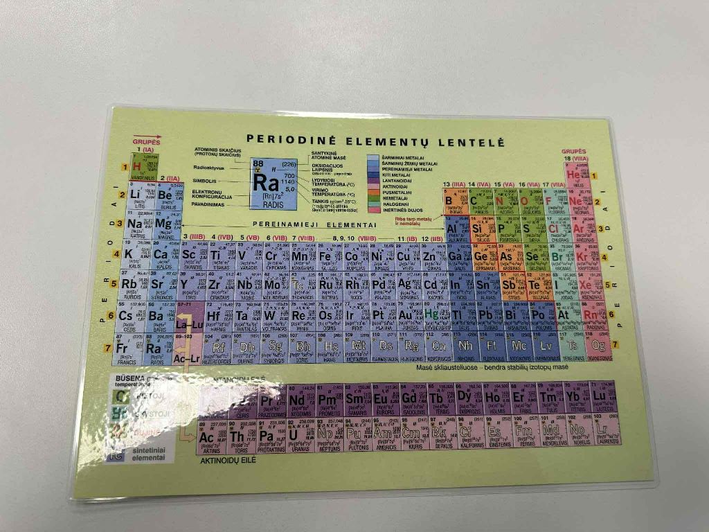 Tukstantmecio_mokyklu_2026_02_10