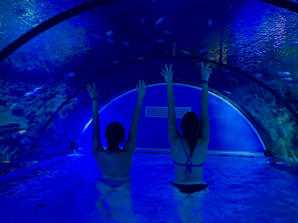 Pazink_Europa_2026_05_29_28